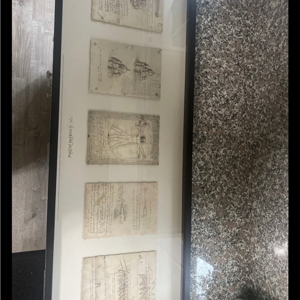 IKEA Olunda Leonardo Se Vinci Drawing 41” 15” 3/4”